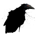 -crow avatar