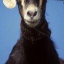 000ooowerkwerk avatar