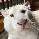 00210823122728l avatar