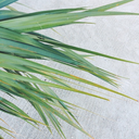 0110001101100001 avatar