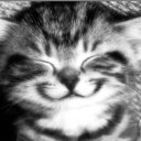 013-j-e-n-013 avatar