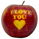 0303030303030303030 avatar