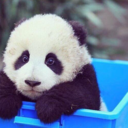 06-65-34-blog avatar