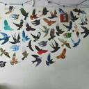 06erhan06-blog avatar