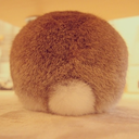 07281967-blog avatar