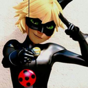 09blackchatsandladybugs avatar