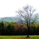 0ctoberleaves avatar