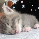 0eaten-teeth0 avatar