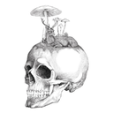 0h-so-broken-blog avatar