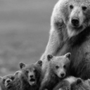 0liebe-exestiert-nicht0 avatar