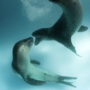 0rbiting-moon avatar