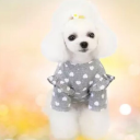 0totolobusmanu1 avatar