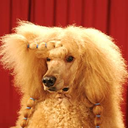 0ut-my-fucking-mind avatar