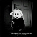 1-800-nightmare avatar