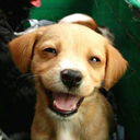 1-do-what-1-want avatar