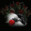 1-rosewiththorns avatar