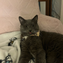 10000uncookedgreenbeans avatar