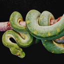 1001painterlynights avatar