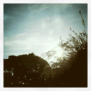 10centpistol-blog avatar