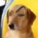 11-angry-bees avatar