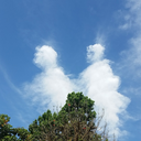 1111111111011 avatar