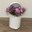 11eleven-eleven11 avatar