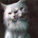 123123123123123123172 avatar