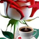 12345567890sblog avatar