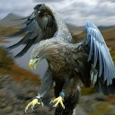 12926282sblog avatar