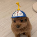 12ozpuddingcup avatar