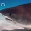 15-bitches-in-1-bitch avatar