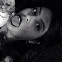 169-catsonthewall avatar