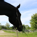 17-hands-ofben avatar