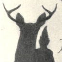 1deeraday avatar