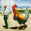 1irishamerican avatar