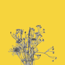 1keepmovingfoward1 avatar