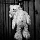 1maldita-sociedad-de-mierda avatar