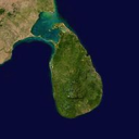 1sri-lanka avatar