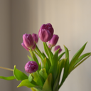 1step-at-a-time avatar