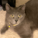 20000fishdescriptions avatar