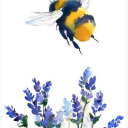 221bees-in-the-forest avatar