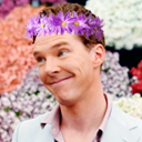 221cumberbatches avatar