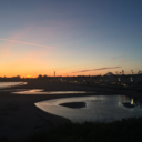 221valiant-pungent-reindeer-king avatar