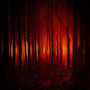 2347473mr-blog avatar