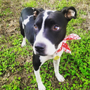 24hrevengetherapy avatar