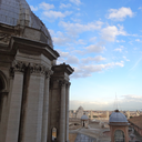 24ranunculus2 avatar