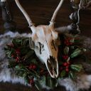 25daysofwhumpmas avatar