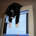 27th-of-march avatar