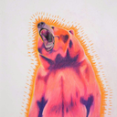 2gay-2function avatar