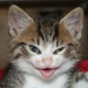 2imploding-croc2 avatar